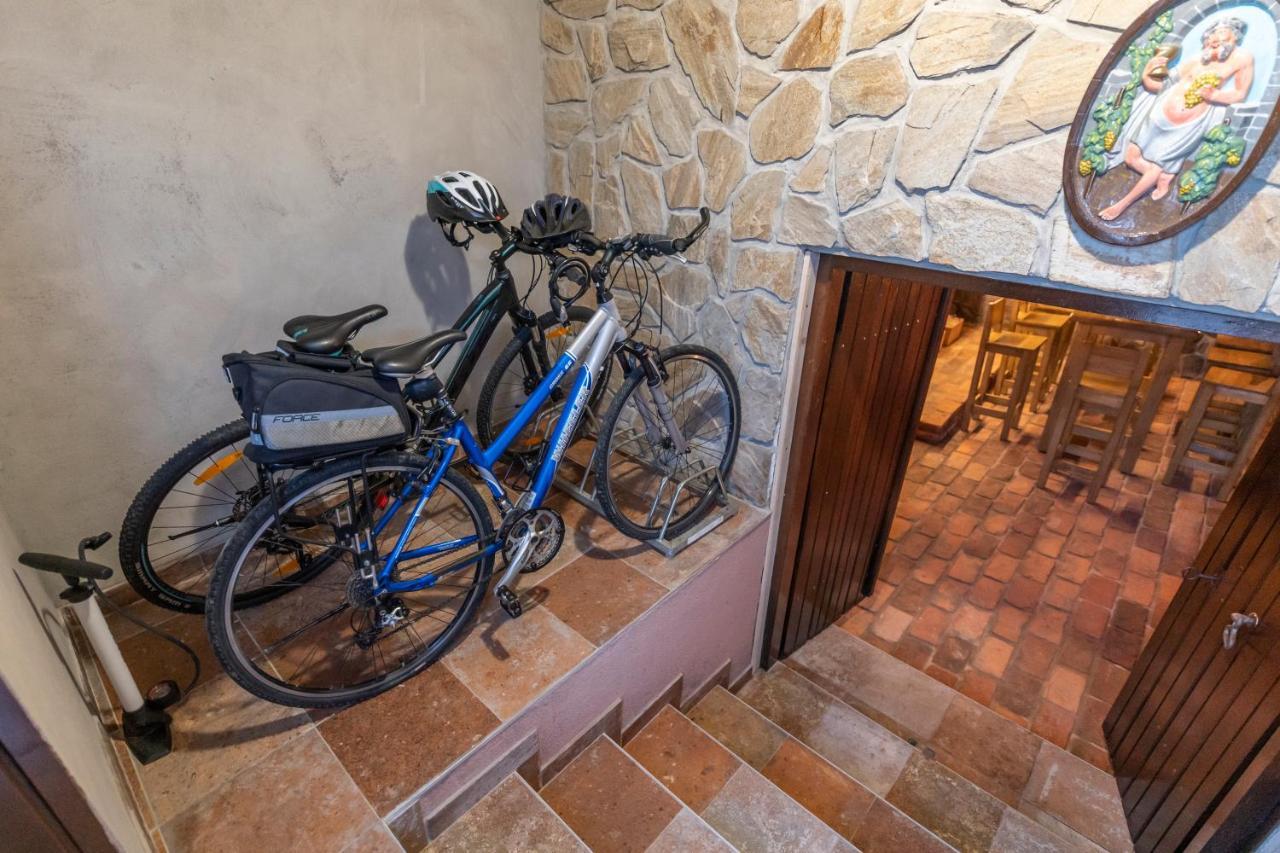 Holiday home Hill Haloze *
