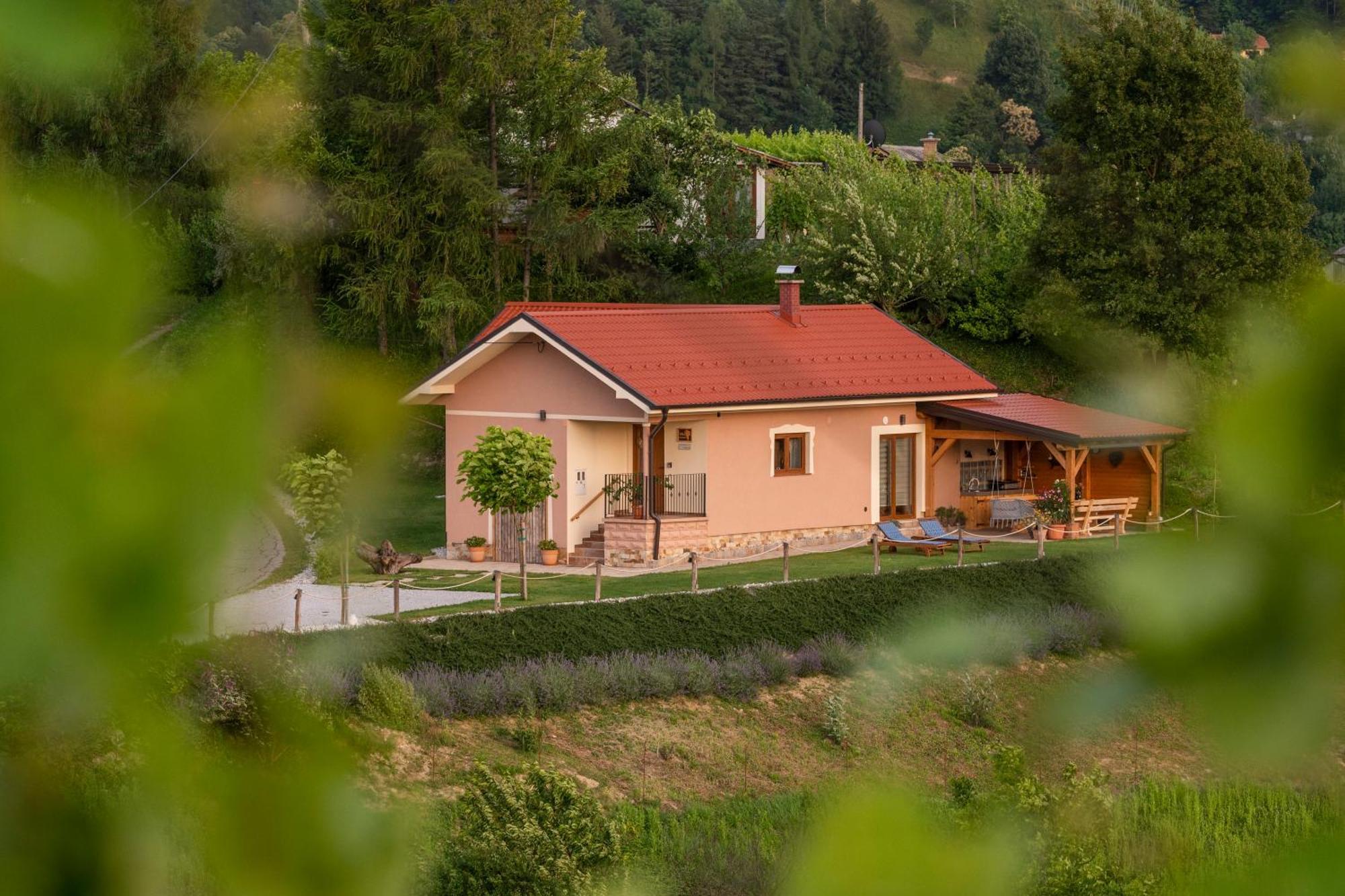 Hill Haloze Holiday home